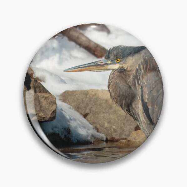 Item preview, Great Blue Heron 2-21-25 designed and sold by Thomasyoung.