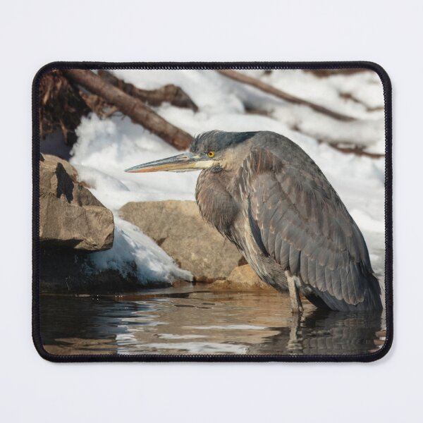 Item preview, Great Blue Heron 2-21-25 designed and sold by Thomasyoung.