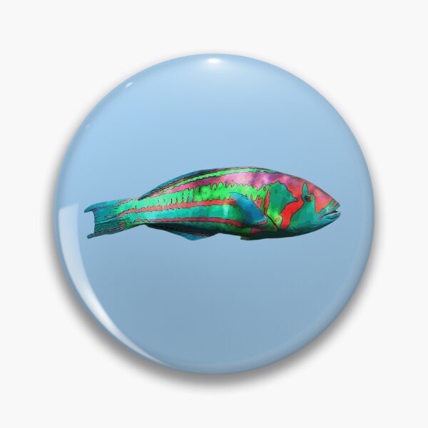 Item preview, Surge Wrasse Color Design  designed and sold by designsasstultd.