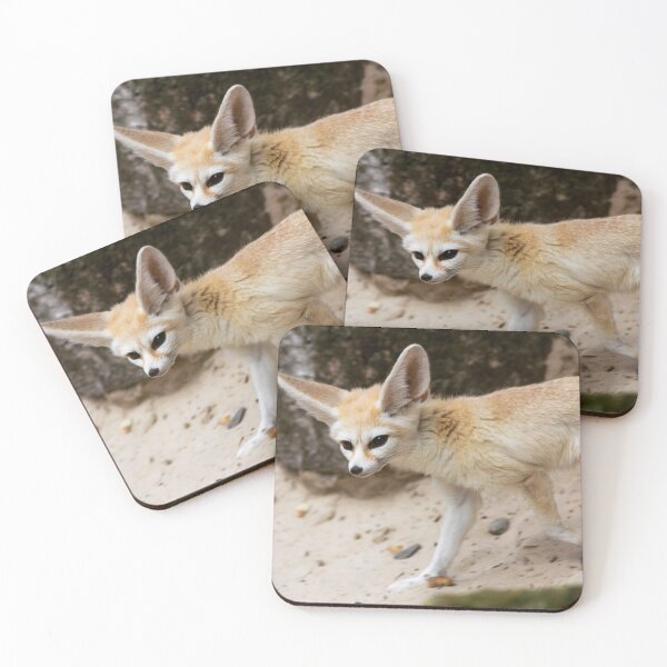 Item preview, Fennec fox designed and sold by JRFotography.