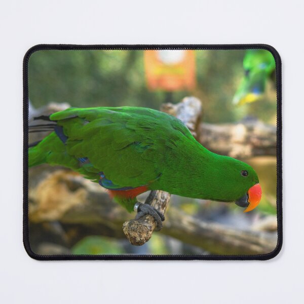 Item preview, Green Parrot designed and sold by Agaland.