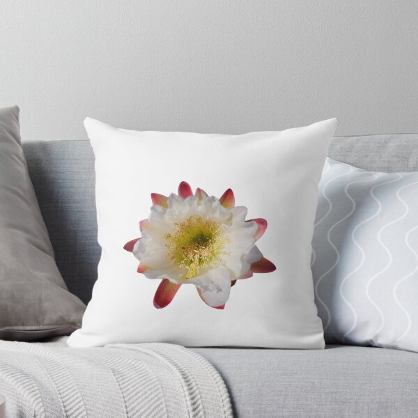 Item preview, Cactus Bloom #2 designed and sold by beckscre8ive.