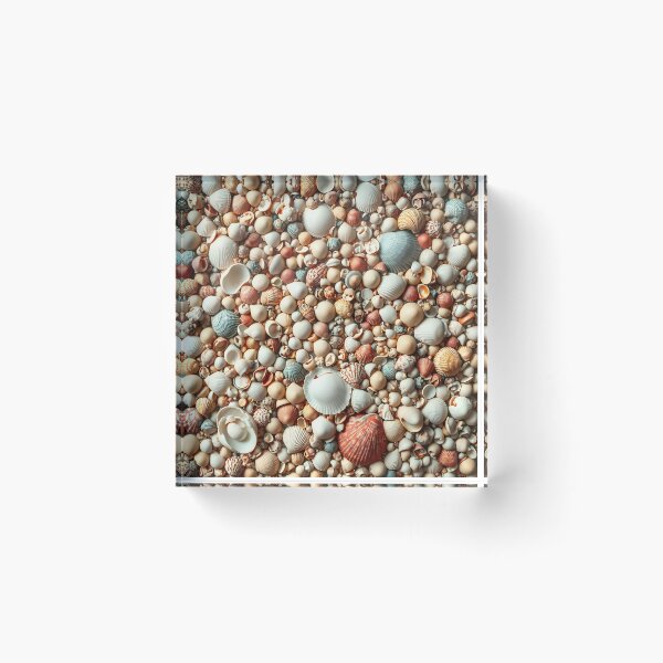 Item preview, Shells 1 designed and sold by HebaRK Studio.