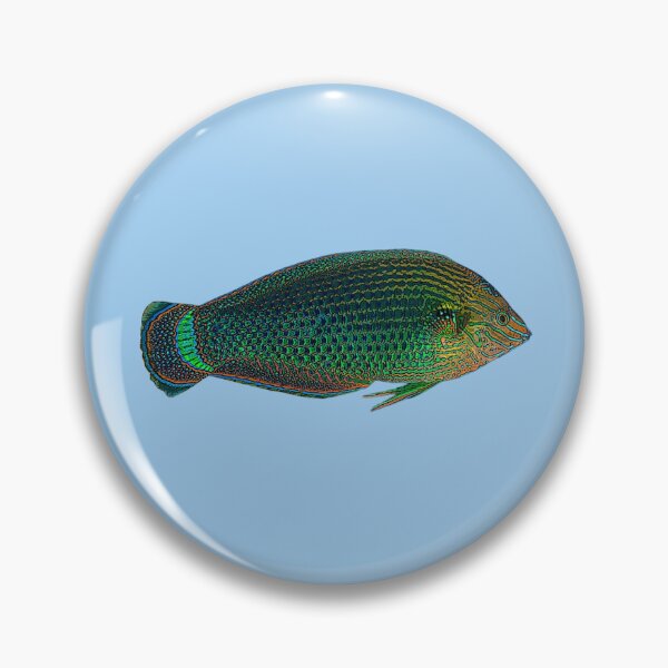 Item preview, Dusky Wrasse Color Design  designed and sold by designsasstultd.