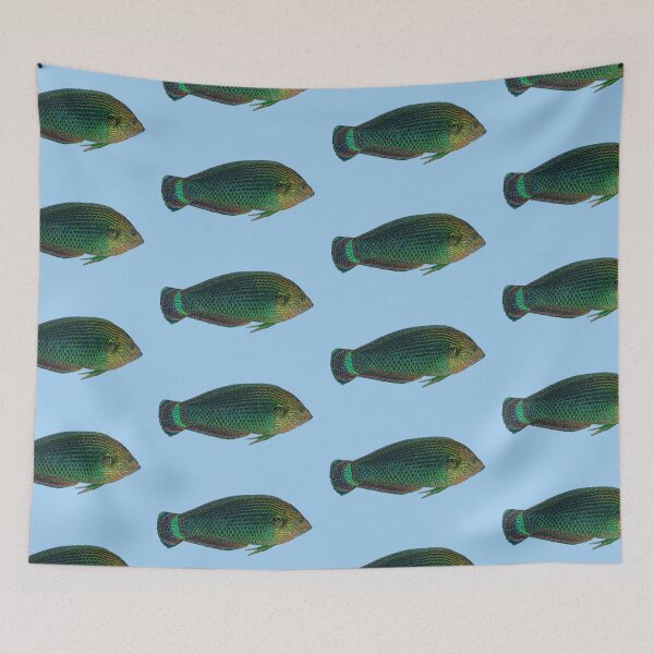 Item preview, Dusky Wrasse Color Design  designed and sold by designsasstultd.