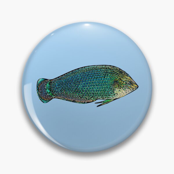 Item preview, Dusky Wrasse Black Alternate Design  designed and sold by designsasstultd.