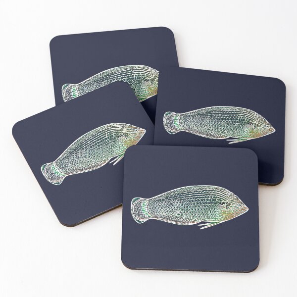 Item preview, Dusky Wrasse White Alternate Design  designed and sold by designsasstultd.