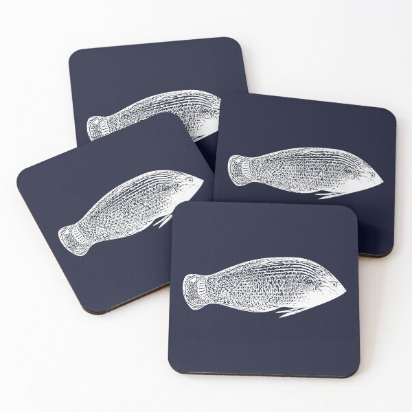 Item preview, Dusky Wrasse White Design  designed and sold by designsasstultd.