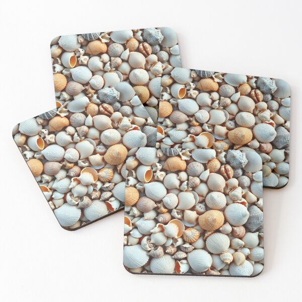 Item preview, Shells 5 designed and sold by HebaRK Studio.