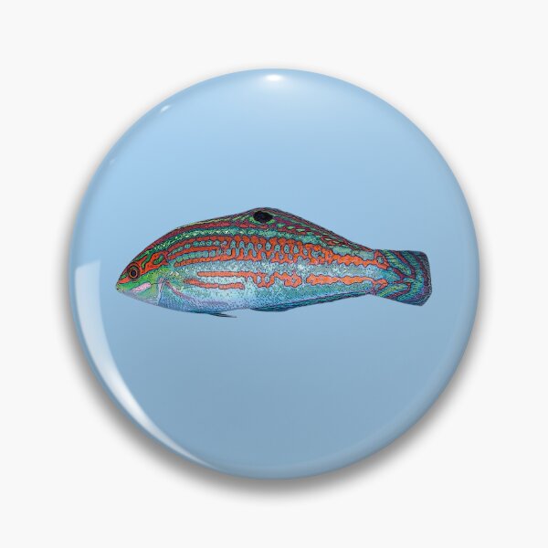 Item preview, Christmas Wrasse Color Design  designed and sold by designsasstultd.