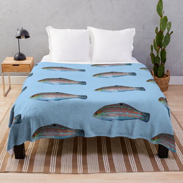 Item preview, Christmas Wrasse Color Design  designed and sold by designsasstultd.