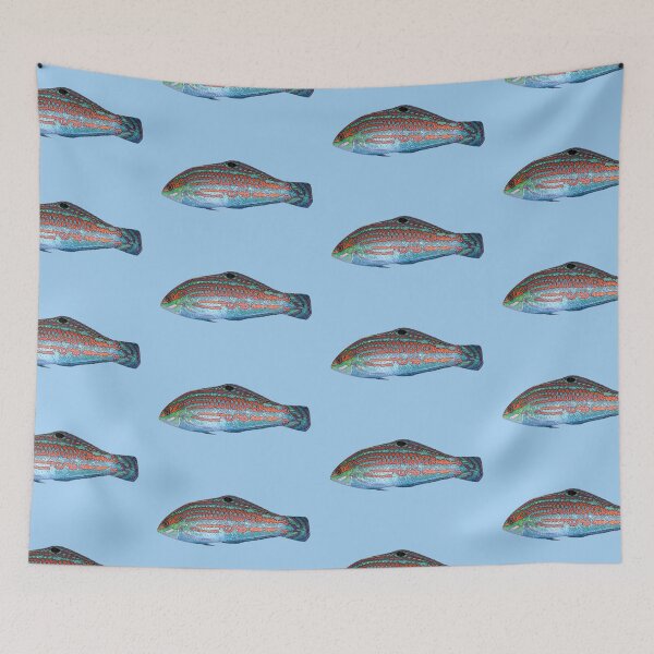 Item preview, Christmas Wrasse Color Design  designed and sold by designsasstultd.