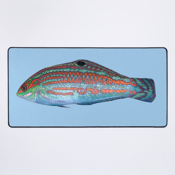 Item preview, Christmas Wrasse Color Design designed and sold by designsasstultd.