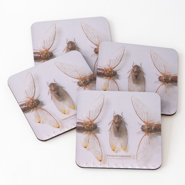 Item preview, The collection of the empress cicadas designed and sold by Agaland.