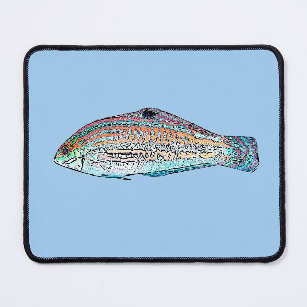 Item preview, Christmas Wrasse Black Alternate Design  designed and sold by designsasstultd.