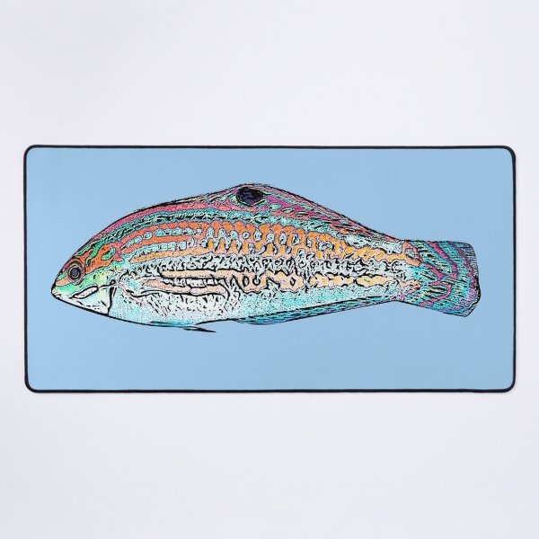Item preview, Christmas Wrasse Black Alternate Design  designed and sold by designsasstultd.
