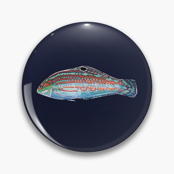 Item preview, Christmas Wrasse White Alternate Design  designed and sold by designsasstultd.