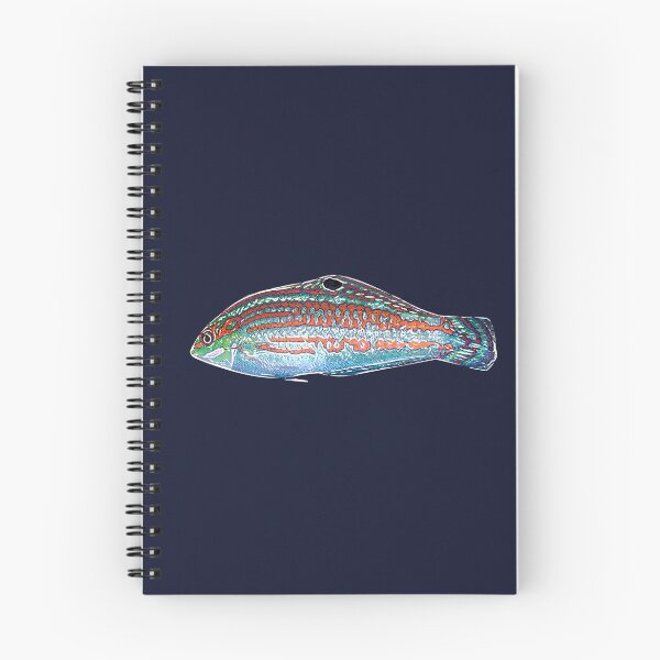 Item preview, Christmas Wrasse White Alternate Design  designed and sold by designsasstultd.