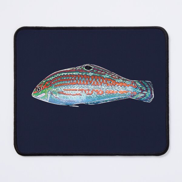 Item preview, Christmas Wrasse White Alternate Design  designed and sold by designsasstultd.