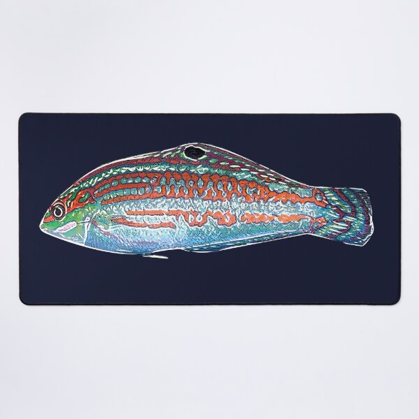 Item preview, Christmas Wrasse White Alternate Design  designed and sold by designsasstultd.