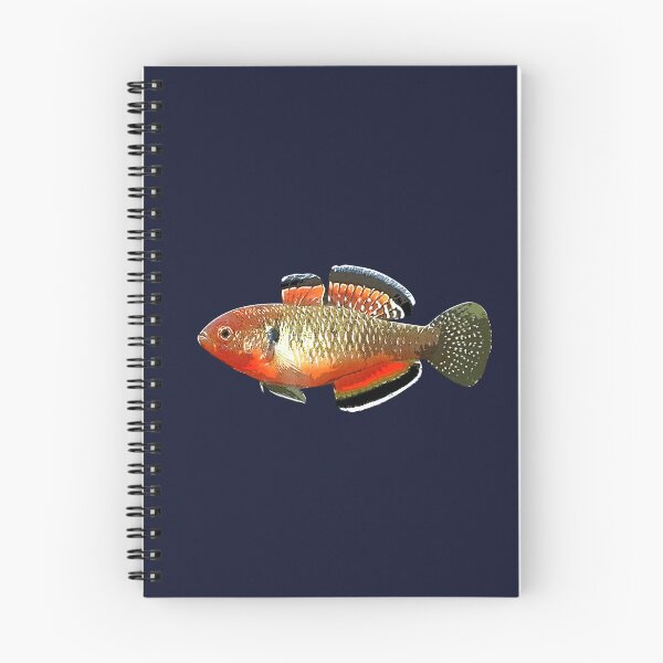 Item preview, Diseño alternativo Empire Gudgeon White designed and sold by designsasstultd.