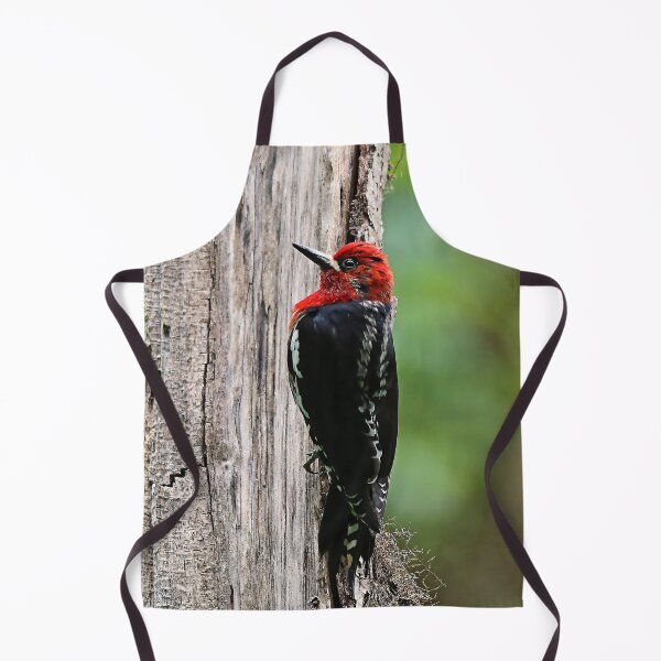 Item preview, Stunning Red-Breasted Sapsucker in the Woods designed and sold by walkswithnature.