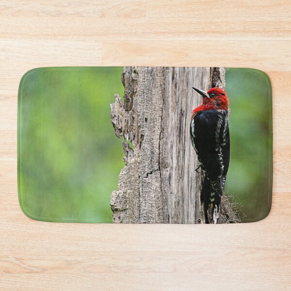 Item preview, Stunning Red-Breasted Sapsucker in the Woods designed and sold by walkswithnature.