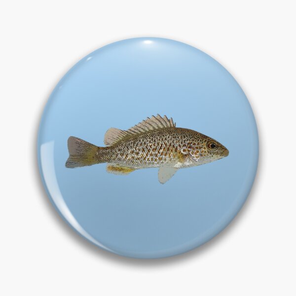 Item preview, Spangled Perch Color Design  designed and sold by designsasstultd.