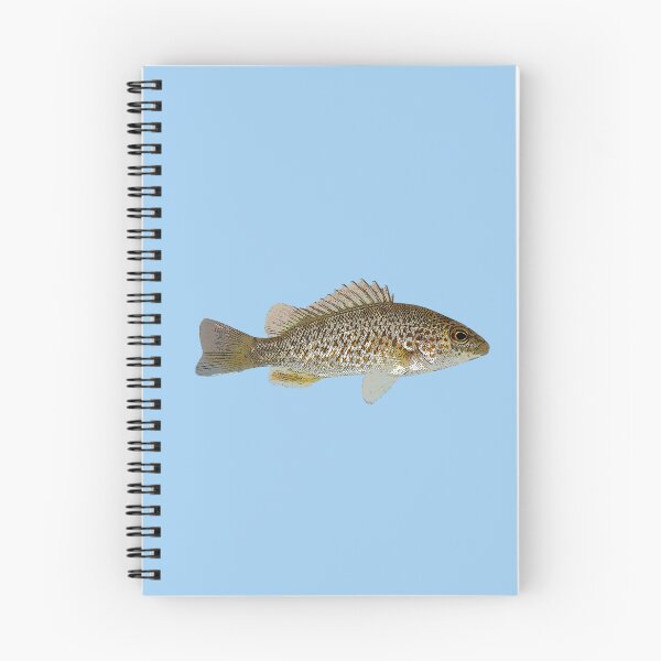 Item preview, Spangled Perch Color Design  designed and sold by designsasstultd.