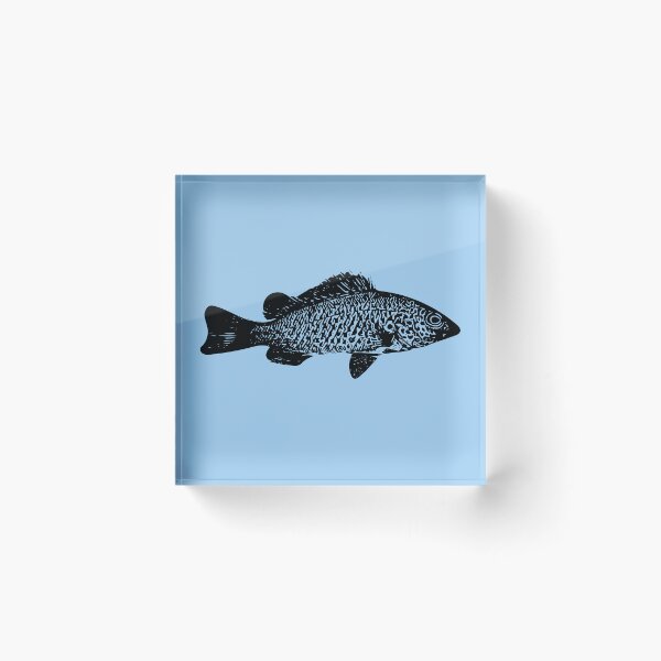 Item preview, Spangled Perch Black Design  designed and sold by designsasstultd.
