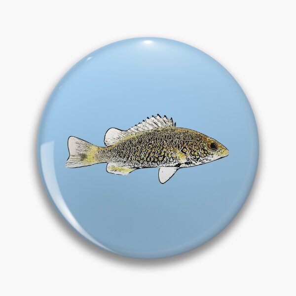 Item preview, Spangled Perch Black Alternate Design  designed and sold by designsasstultd.