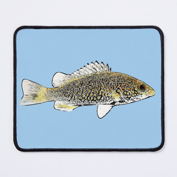 Item preview, Spangled Perch Black Alternate Design designed and sold by designsasstultd.