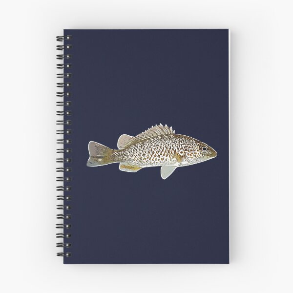 Item preview, Spangled Perch White Alternate Design  designed and sold by designsasstultd.