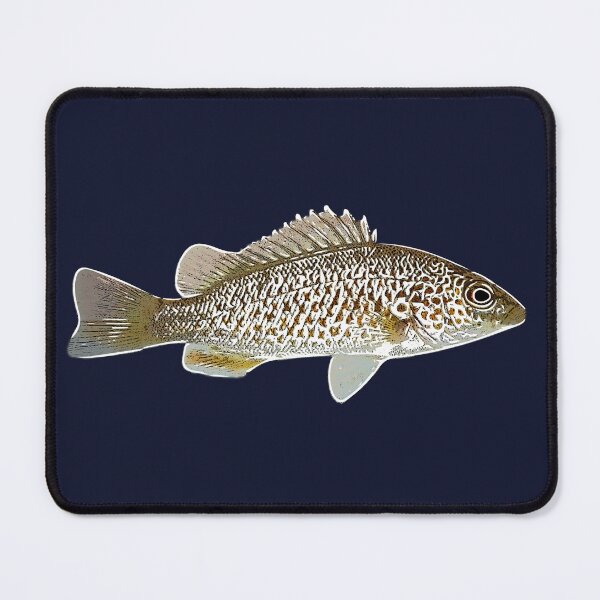 Item preview, Spangled Perch White Alternate Design designed and sold by designsasstultd.