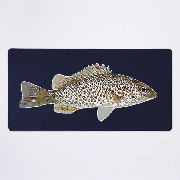 Item preview, Spangled Perch White Alternate Design designed and sold by designsasstultd.