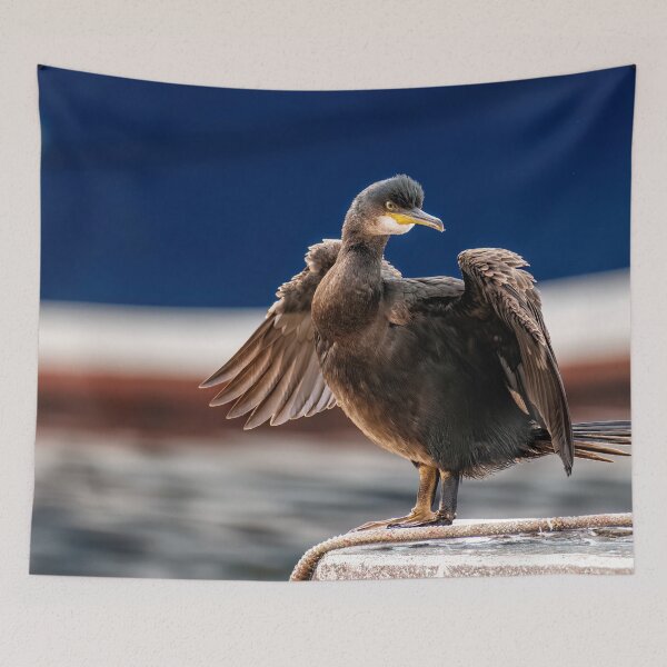 Item preview, Juvenile Cormorant designed and sold by Tom McPherson Photography.