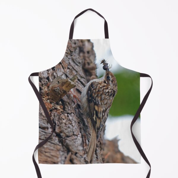 Item preview, Stunning American Treecreeper Returns with Baby's Breakfast designed and sold by walkswithnature.