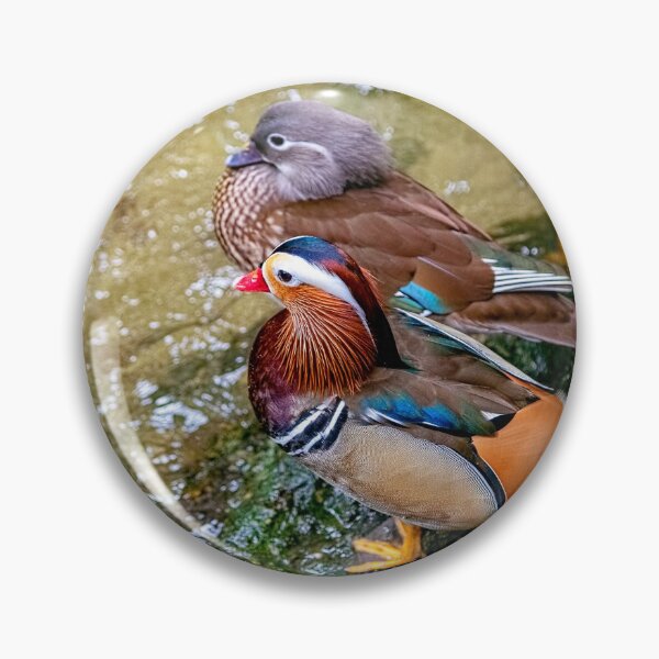 Item preview, Mr and Mrs Mandarin Duck designed and sold by Kay Brewer.