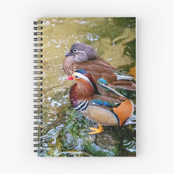 Item preview, Mr and Mrs Mandarin Duck designed and sold by Kay Brewer.