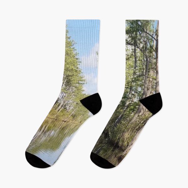 Item preview, Okefenokee Swamp Folkston Georgia designed and sold by HinsonCreations.