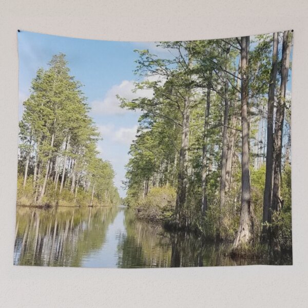 Item preview, Okefenokee Swamp Folkston Georgia designed and sold by HinsonCreations.