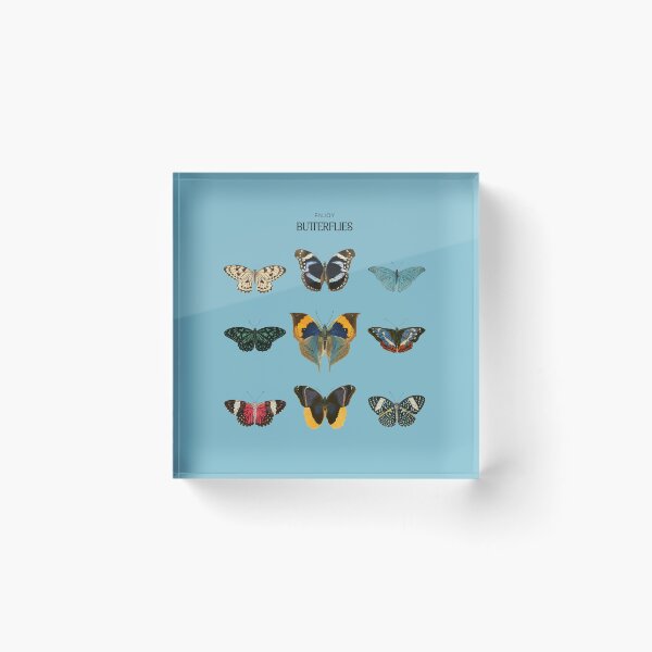 Item preview, Enjoy Butterflies designed and sold by shirt-planet.
