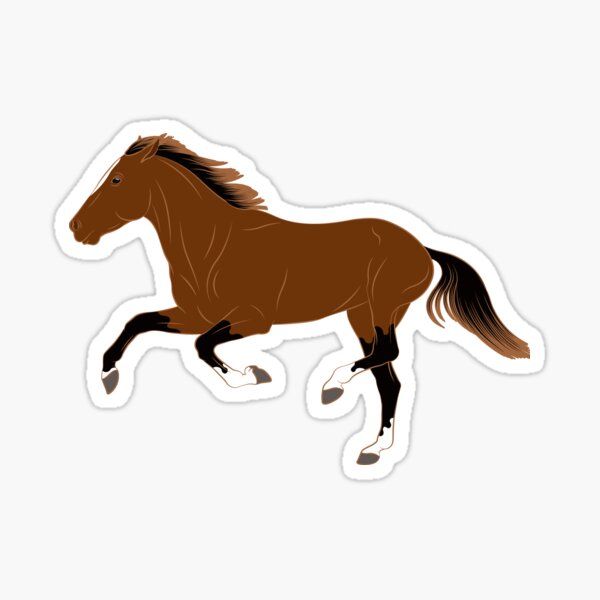 Aperçu de l'œuvre Cheval Afghan, cheval bai, cheval de selle, races de chevaux de l'Afghanistan créée et vendue par WebEquitation®.