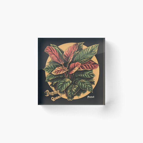 Item preview, Drama Queen Calathea  designed and sold by Plantees666.