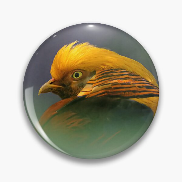 Item preview, Between the Green: Vignetted Gorgeous Golden Pheasant  designed and sold by walkswithnature.
