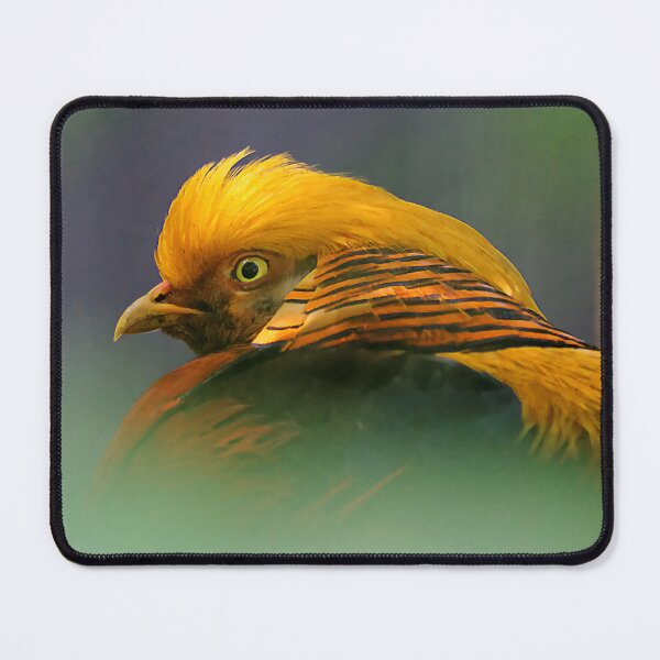 Item preview, Between the Green: Vignetted Gorgeous Golden Pheasant designed and sold by walkswithnature.