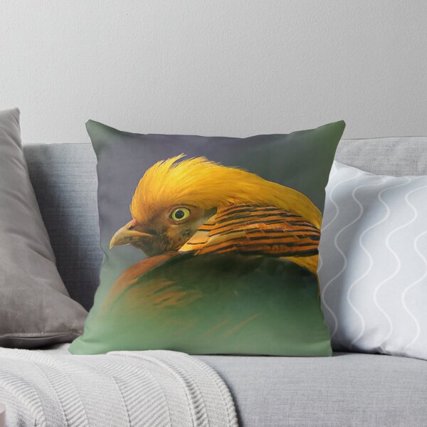 Item preview, Between the Green: Vignetted Gorgeous Golden Pheasant  designed and sold by walkswithnature.