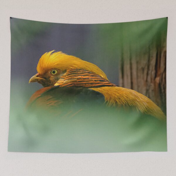 Item preview, Between the Green: Vignetted Gorgeous Golden Pheasant  designed and sold by walkswithnature.
