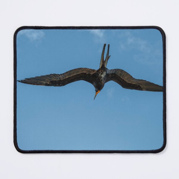 Item preview, The Male Magnificent Frigate Bird designed and sold by Kay Brewer.