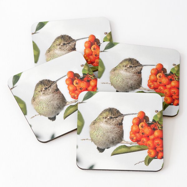 Item preview, Cute Anna's Hummingbird on the Scarlet Firethorn Bush designed and sold by walkswithnature.